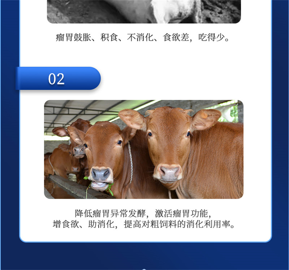 吉隆达动保牛羊饲料添加剂瘤胃宝产品介绍