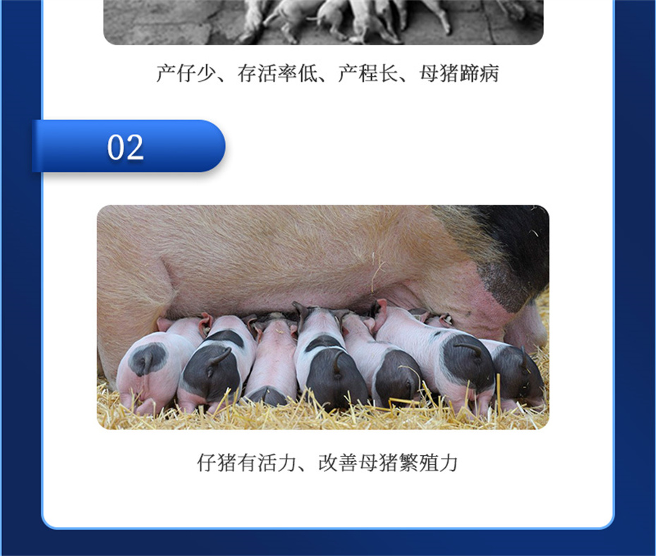 吉隆达动保猪饲料添加剂升殖宝产品介绍