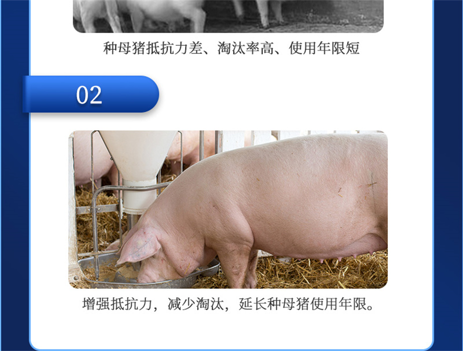 吉隆达动保猪饲料添加剂升殖宝产品介绍