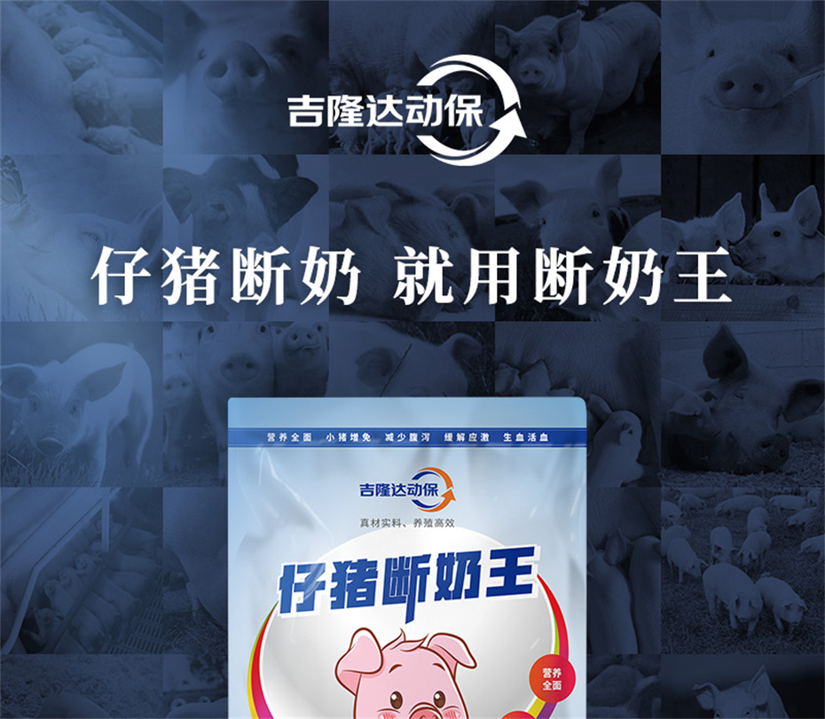 吉隆达动保猪饲料添加剂仔猪断奶王产品介绍