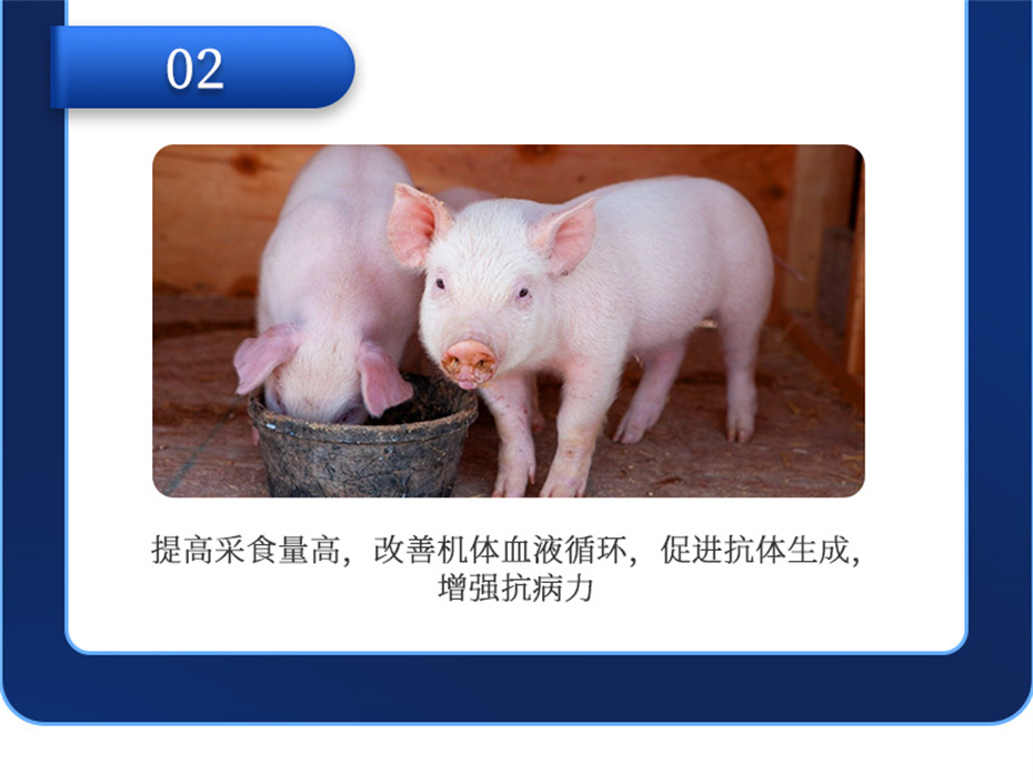 吉隆达动保猪饲料添加剂仔猪断奶王产品介绍