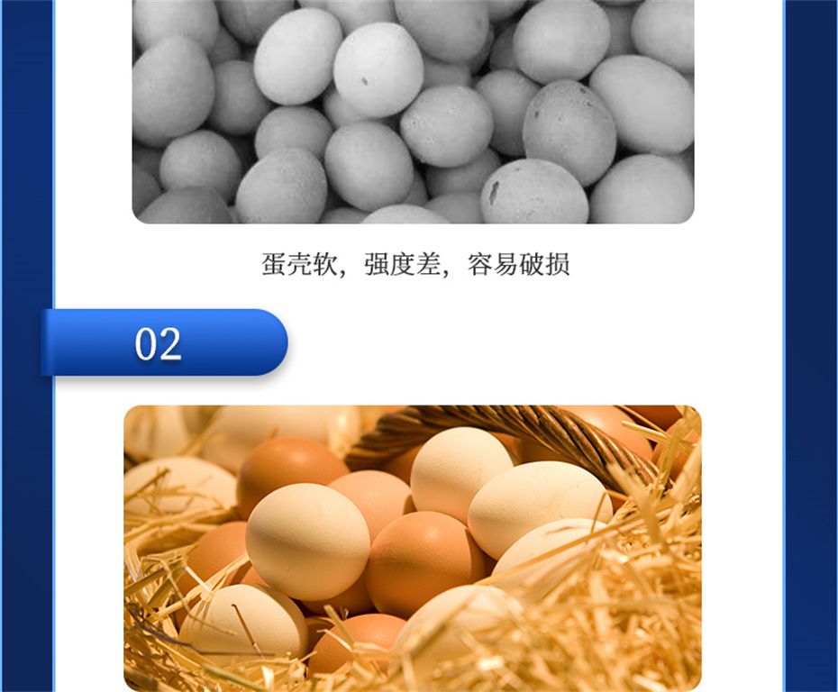 吉隆达动保禽饲料添加剂靓蛋宝产品介绍